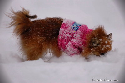 Dec13_07_054.jpg