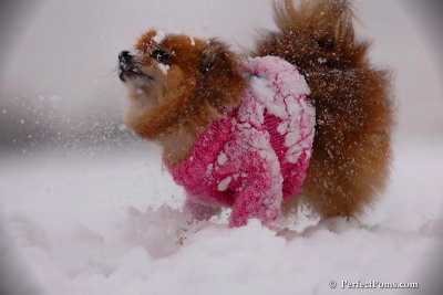 Dec13_07_060.jpg