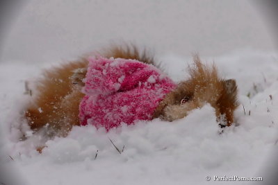 Dec13_07_070.jpg