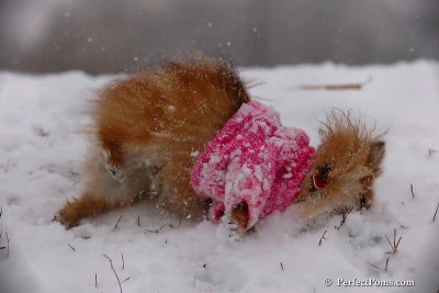 Dec13_07_075.jpg