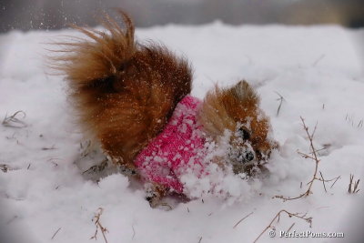 Dec13_07_077.jpg