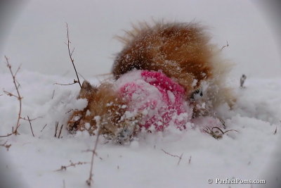 Dec13_07_078.jpg
