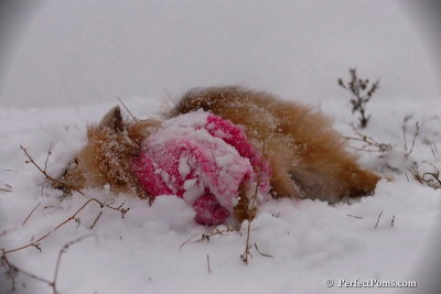 Dec13_07_080.jpg