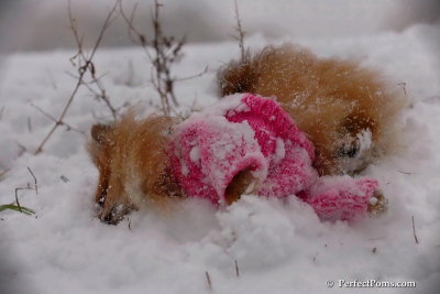 Dec13_07_083.jpg