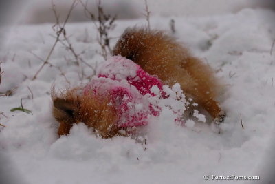 Dec13_07_084.jpg