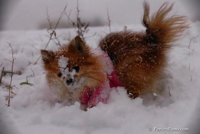 Dec13_07_086.jpg