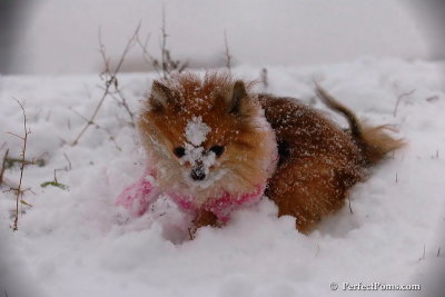 Dec13_07_087.jpg