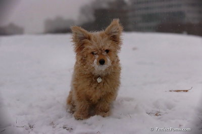 Dec13_07_090.JPG