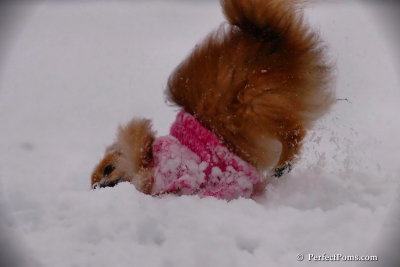 Dec13_07_094.jpg