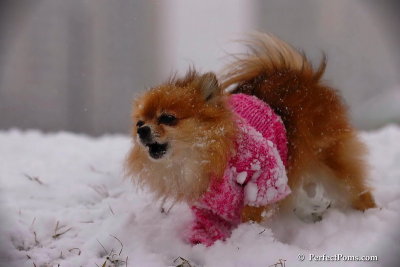 Dec13_07_104.jpg