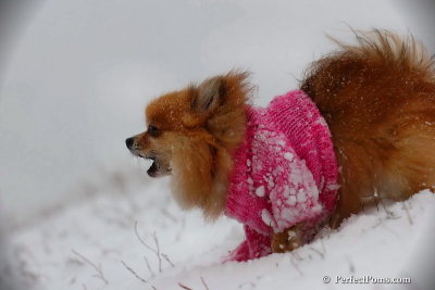 Dec13_07_120.jpg