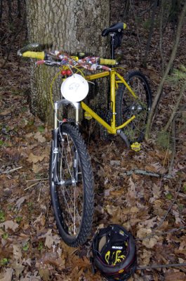 DSC_0035.JPG