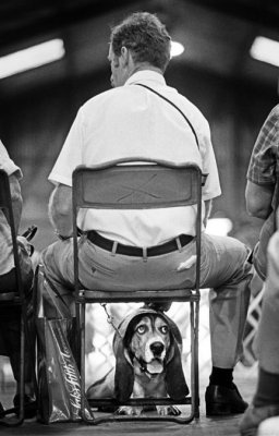 Obedience School Graduation