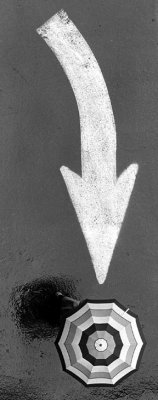 Umbrella  Arrow