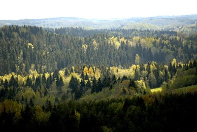 _DS22710.jpg