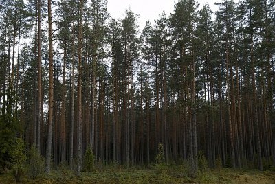 DSC_3749.jpg