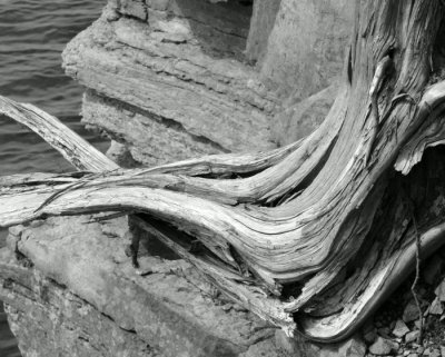 Lemoine Point 06818.JPG