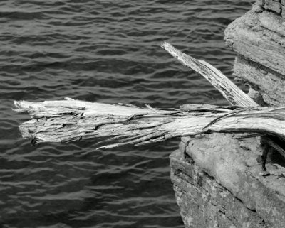 Lemoine Point 06819.JPG