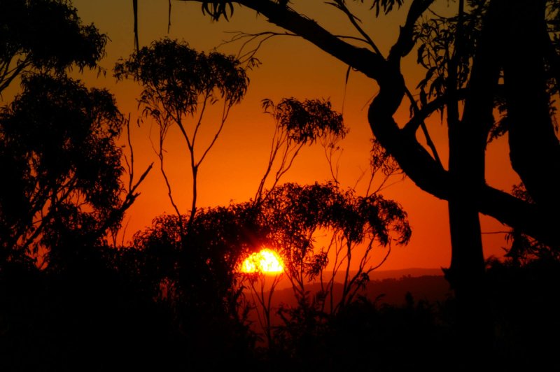 TENTERFIELD SKY