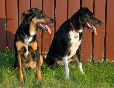 Max and Becky