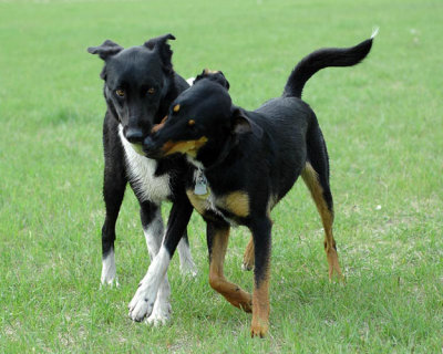 That's my ball