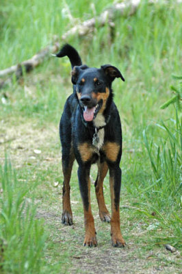 Max on a footpath