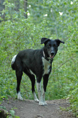 Becky on a footpath