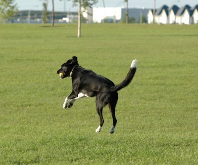 Good catch