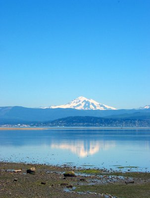 Mt. Baker