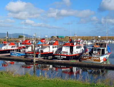 Harbor at Ilwaco