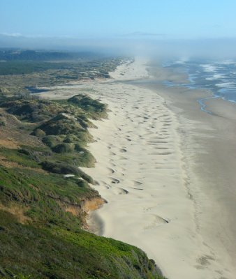 Start of the dunes