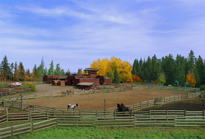 Near Red Deer