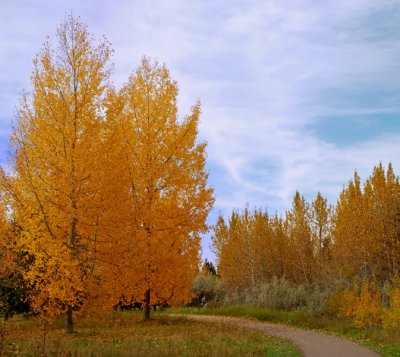 Near Red Deer