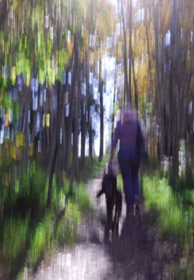 Just walking the dog
