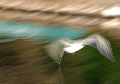 Camera Shake