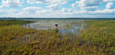 Moose Lake