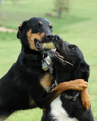 Battle of wills