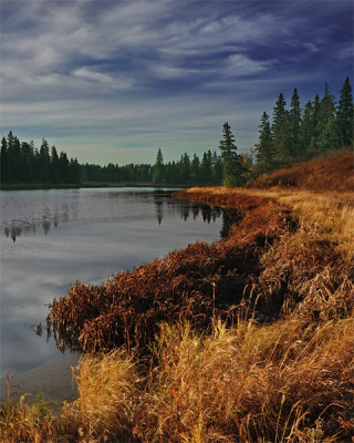 Elk Island National Park