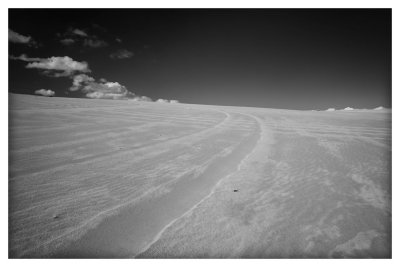 Dunes 14.jpg