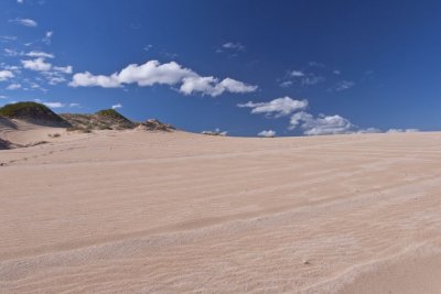 Dunes 15.jpg