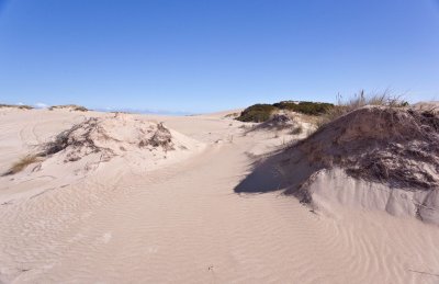 Swan lake dunes at Discovery bay