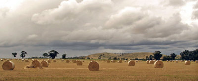 Nattie Yallock Hay rolls.JPG