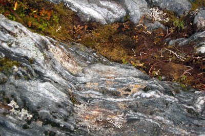 DSC_4767a.jpg