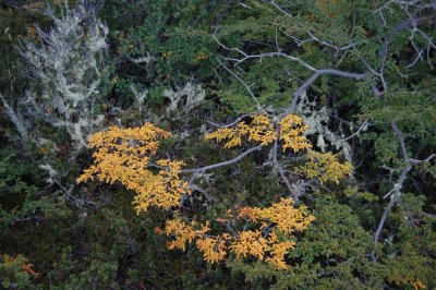 DSC_6018.JPG
