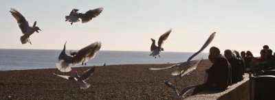 aldeburgh1