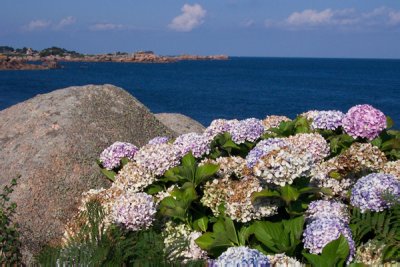 100_0798.jpg