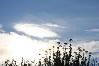 g6/12/783612/3/86898888.eZUrEly7.jpg
