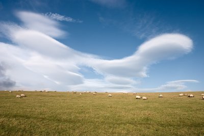 Ac (Len) - and sheep!