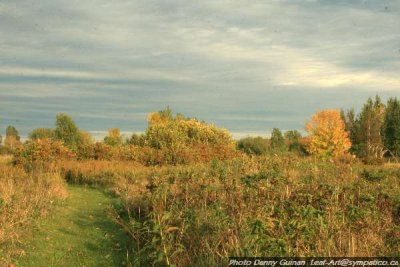 img_4639--30 sept 07.jpg