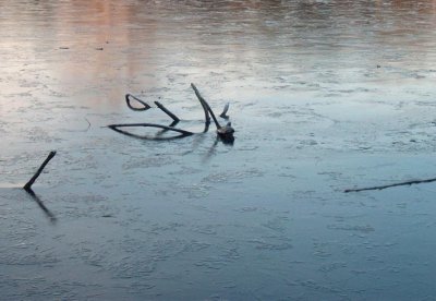 skeleton in frozen water